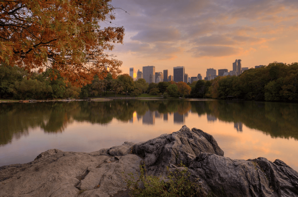 A serene view of a lake surrounded by autumn foliage, with a skyline of modern buildings in the background during sunset.